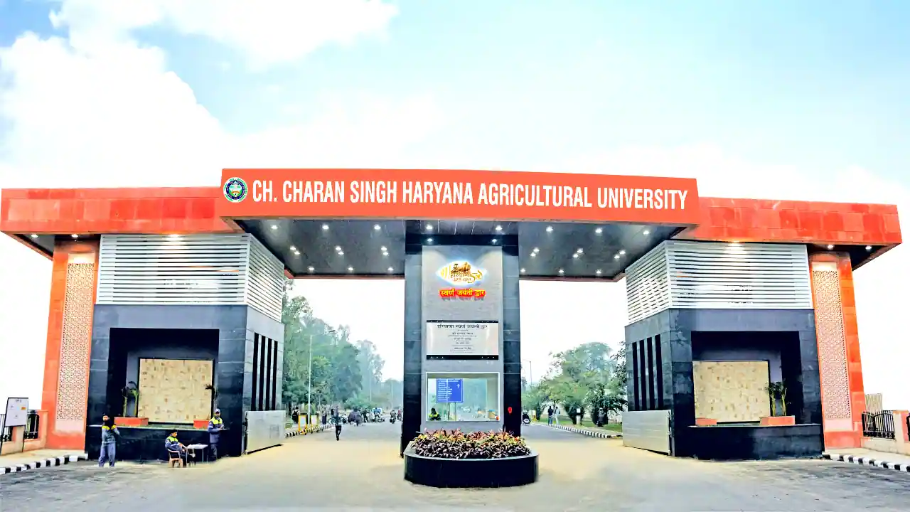 HAU Hisar Vacancy 2025