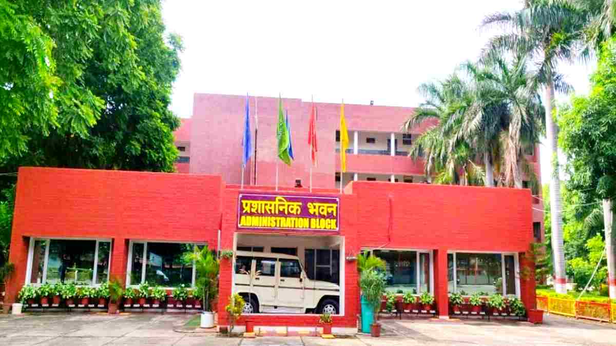 Chandigarh JNV Vacancy 2024