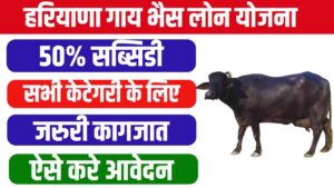 Haryana Dairy Loan Apply Online 2024