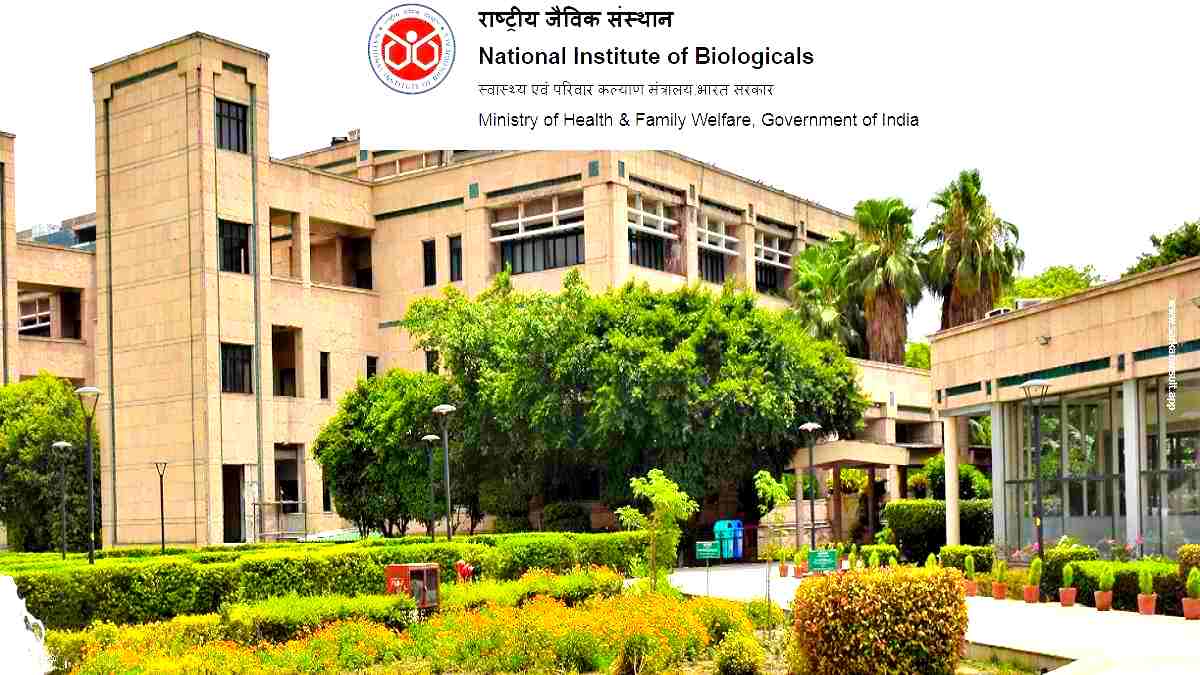 National Institute of Biologicals Vacancy 2024