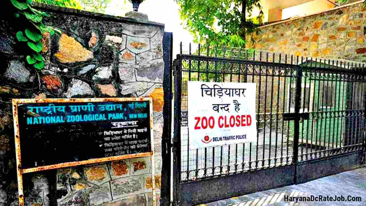 Central Zoo Authority New Delhi Vacancy 2024